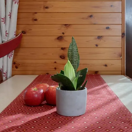 Hellochalet - Maison Maquignaz With Boot-warmer, 100m Skibus *